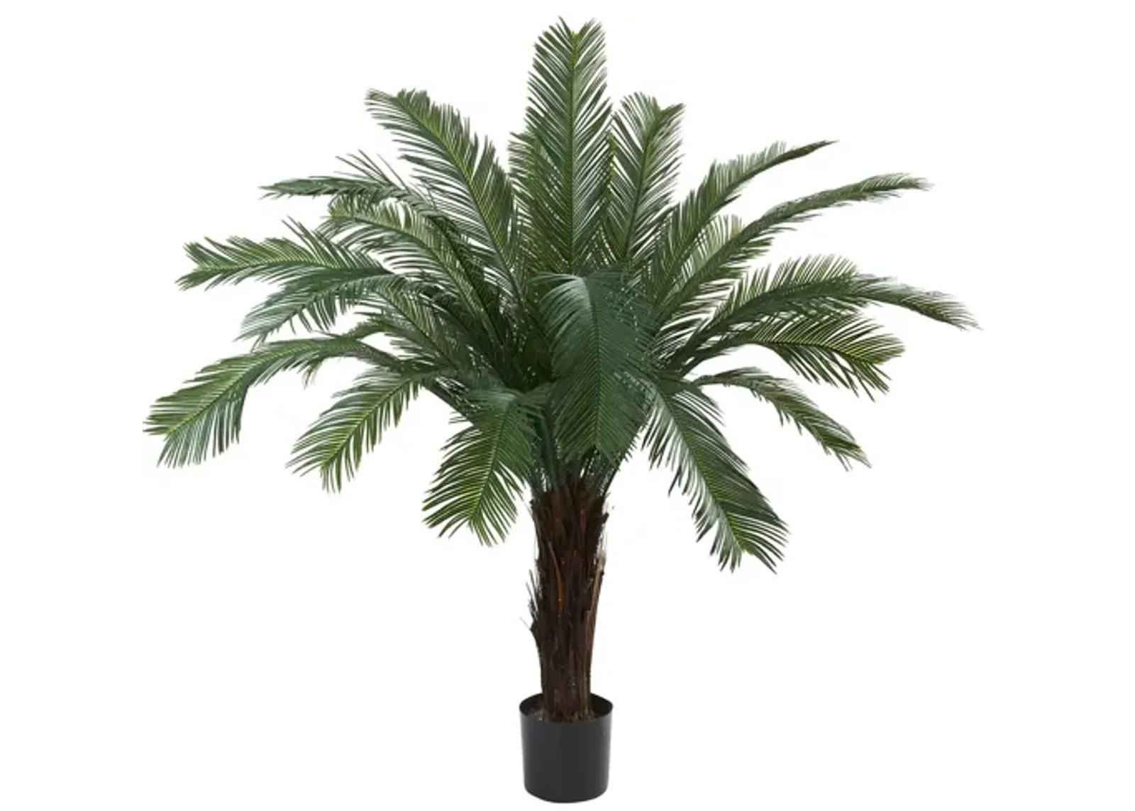 5ft. Cycas Tree (Indoor/Outdoor) in Green by Bellanest