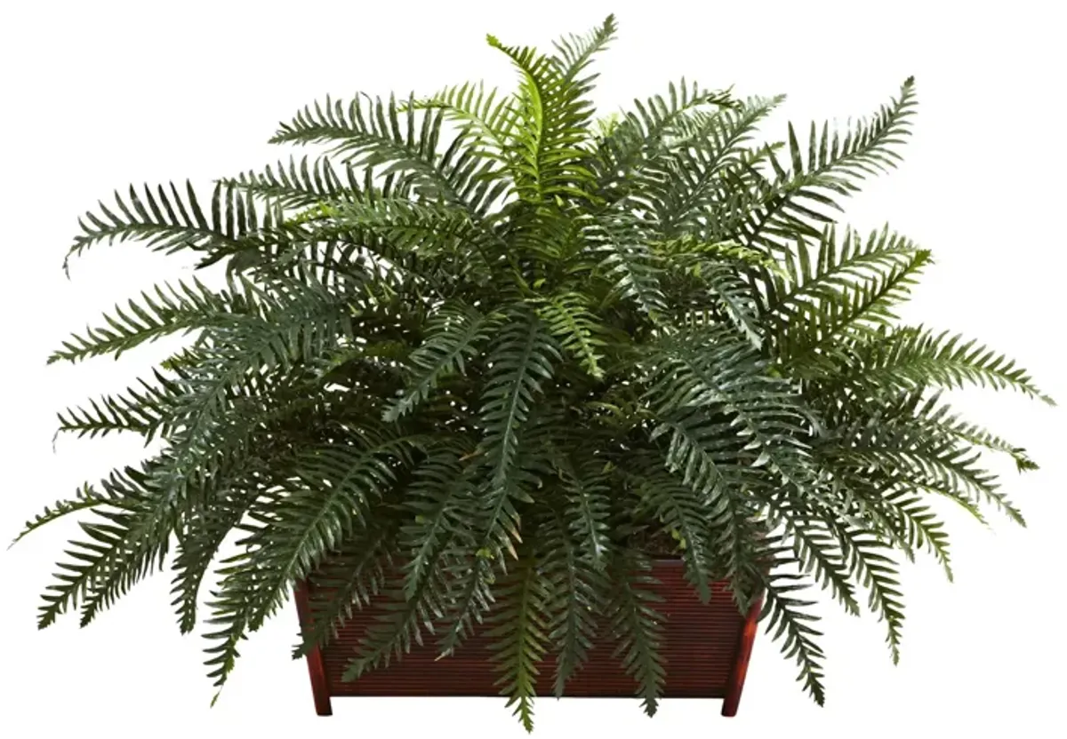 River Fern with Wood Planter in Green by Bellanest