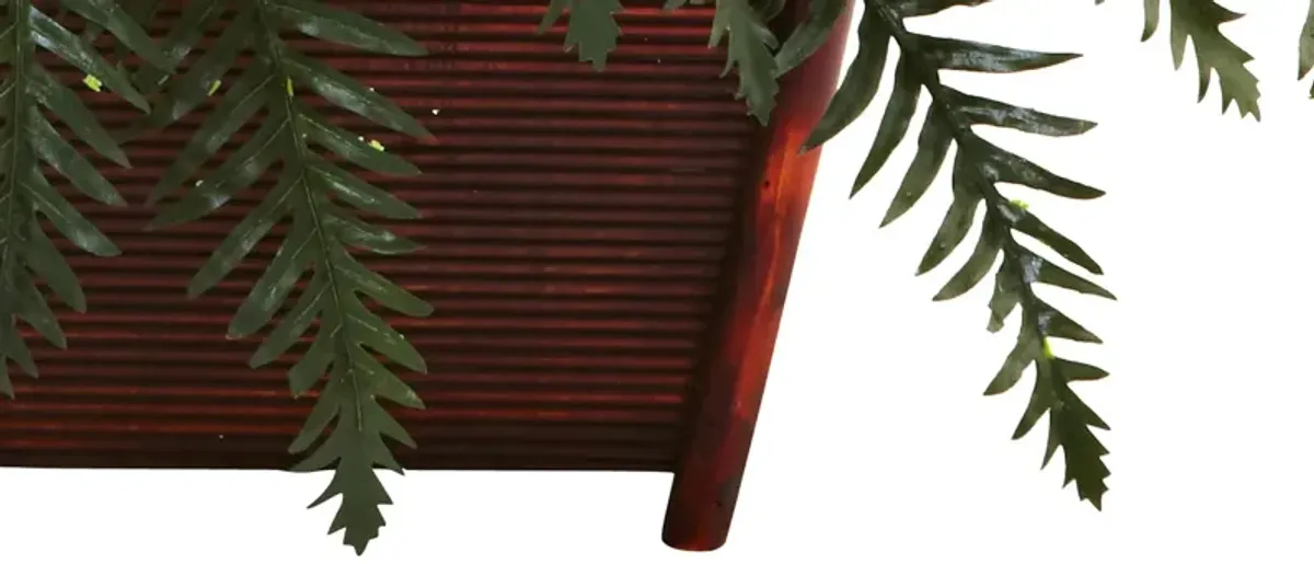 River Fern with Wood Planter