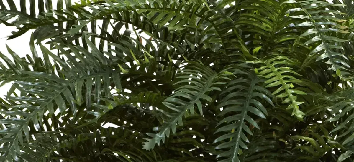 River Fern with Wood Planter