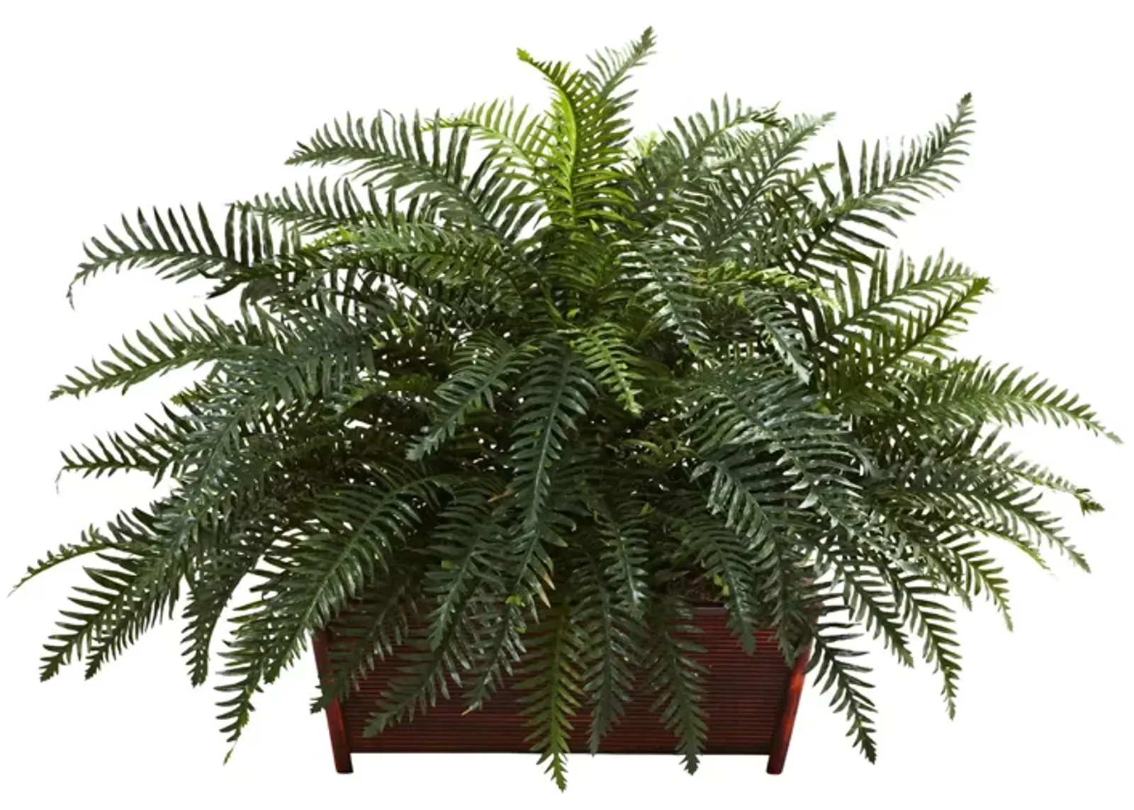 River Fern with Wood Planter