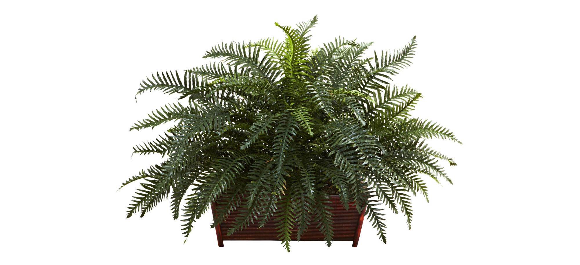 River Fern with Wood Planter in Green by Bellanest