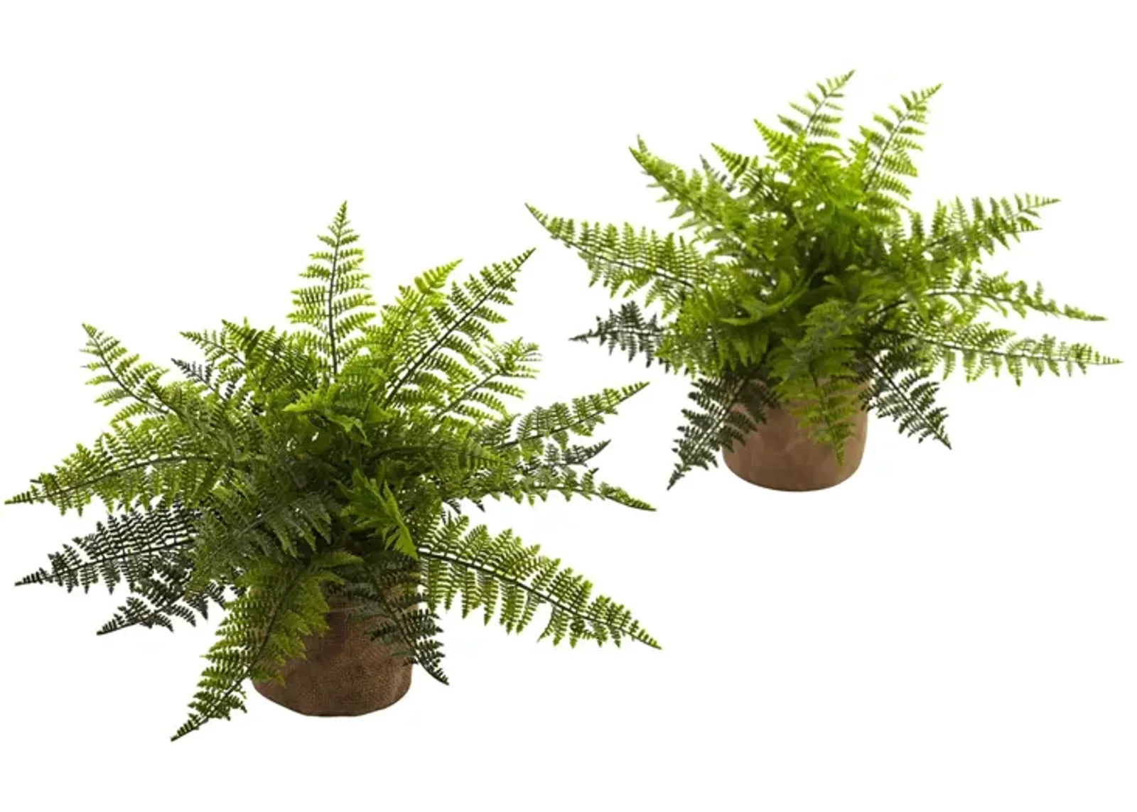 15in. Ruffle Fern Bush with Burlap Base (Set of 2) in Green by Bellanest