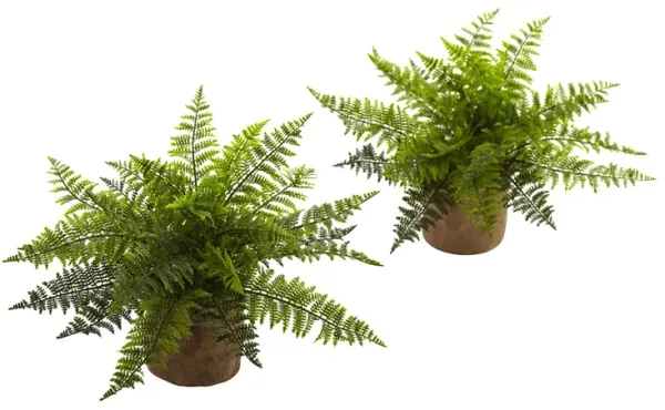 15in. Ruffle Fern Bush with Burlap Base (Set of 2)