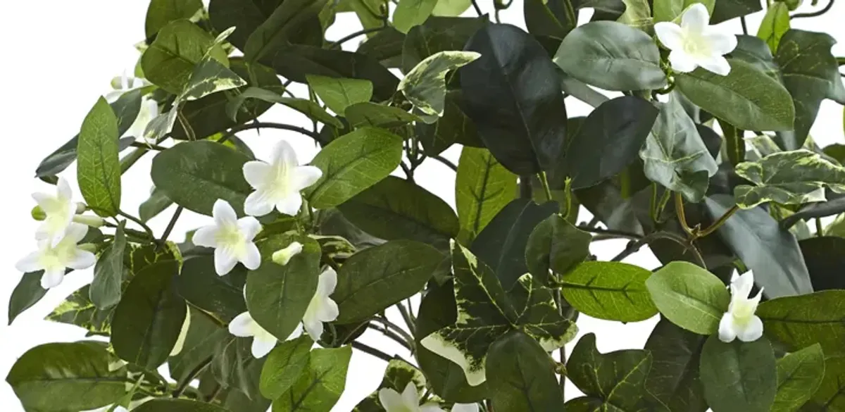 3ft. Stephanotis Topiary with Planter