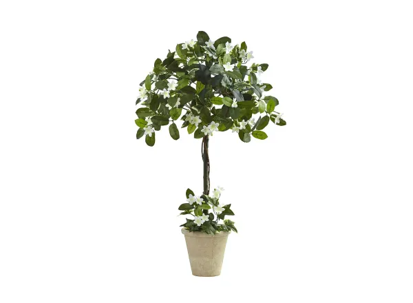 3ft. Stephanotis Topiary with Planter