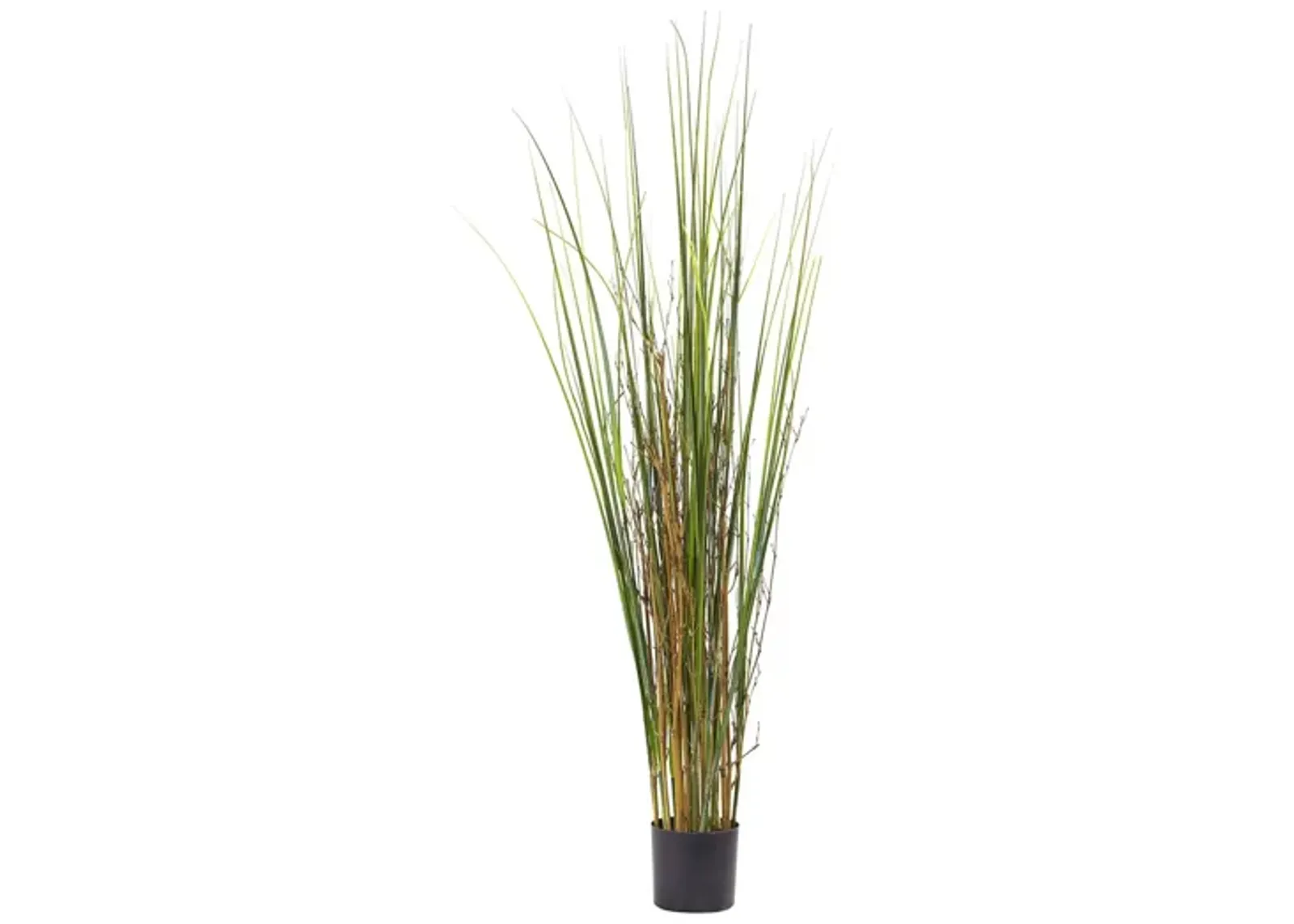 4ft. Grass & Bamboo Plant in Green by Bellanest