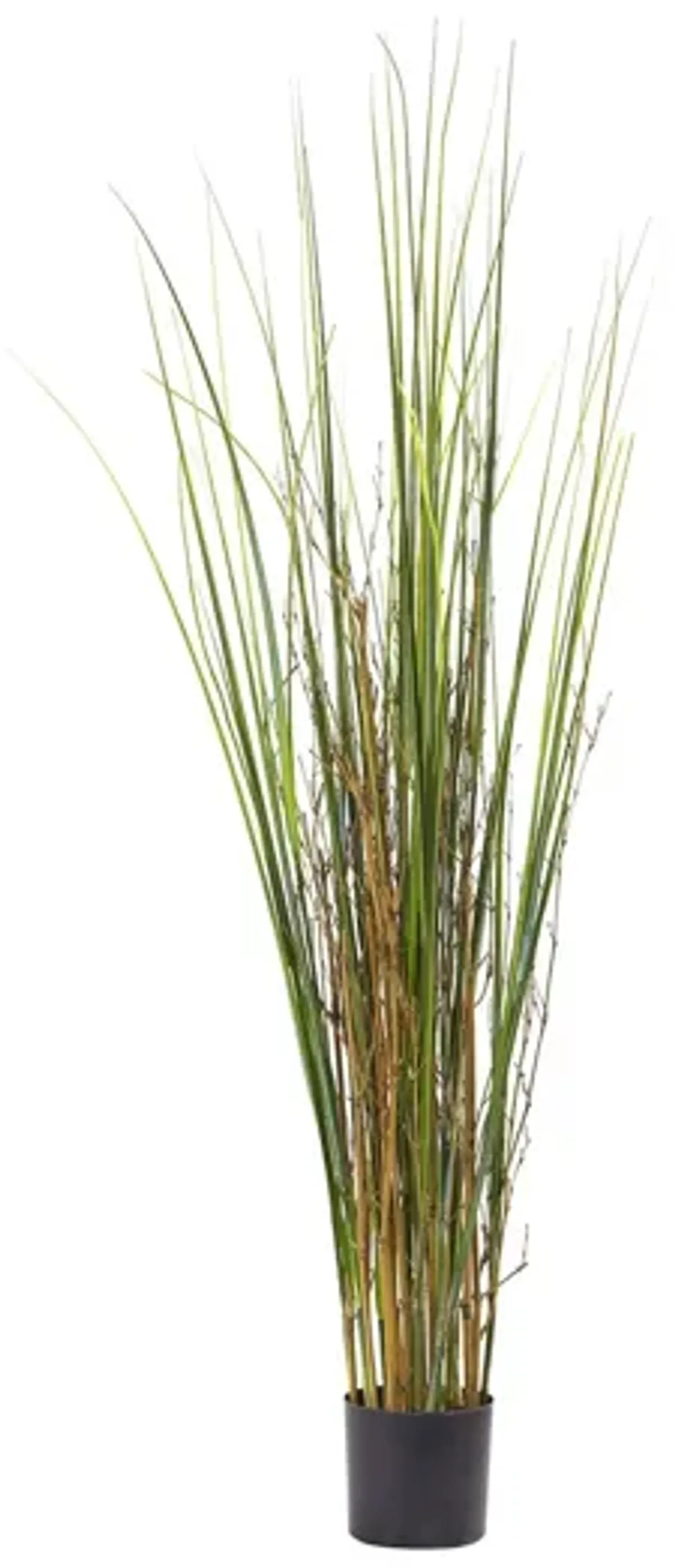 4ft. Grass & Bamboo Plant in Green by Bellanest