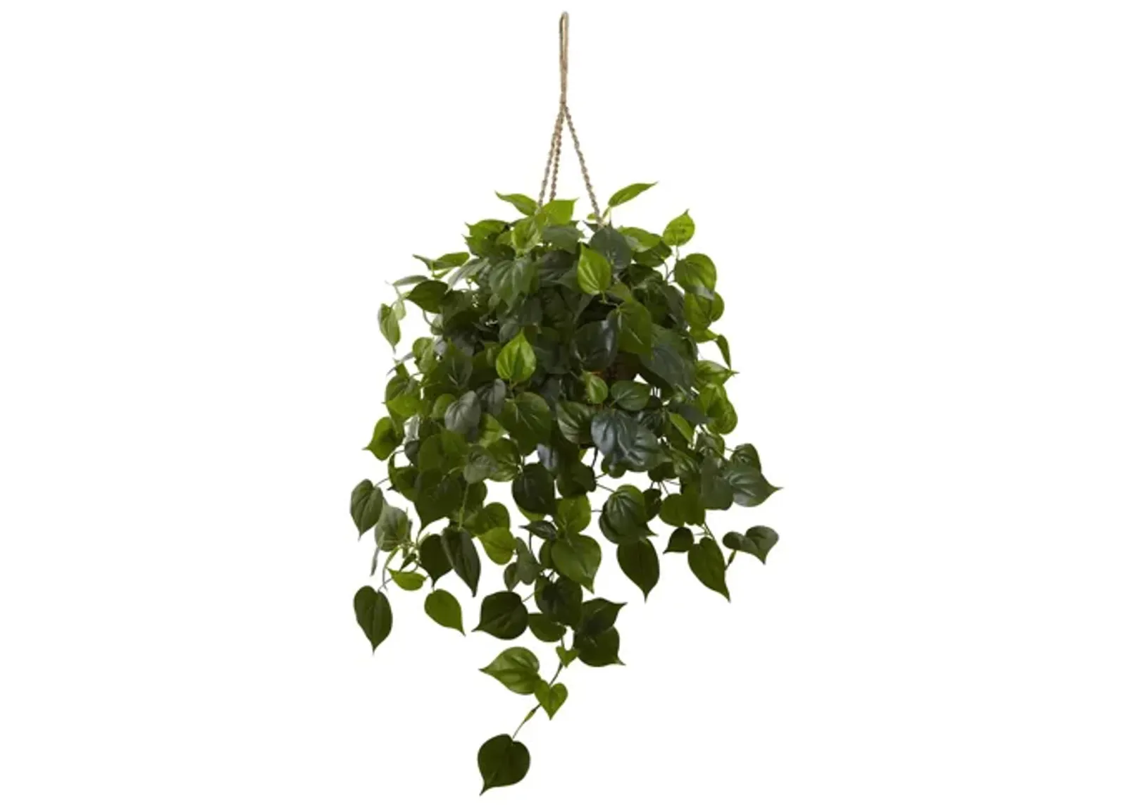 Philodendron Hanging Basket (Indoor/Outdoor) in Green by Bellanest