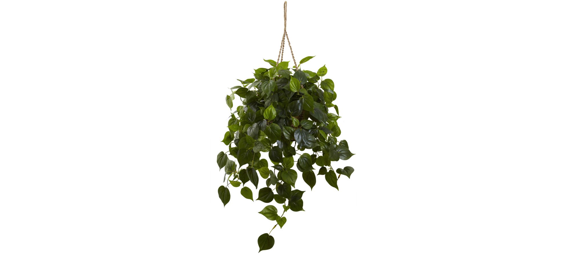 Philodendron Hanging Basket (Indoor/Outdoor) in Green by Bellanest