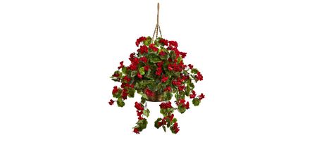 Geranium Hanging Basket (Indoor/Outdoor) in Red by Bellanest