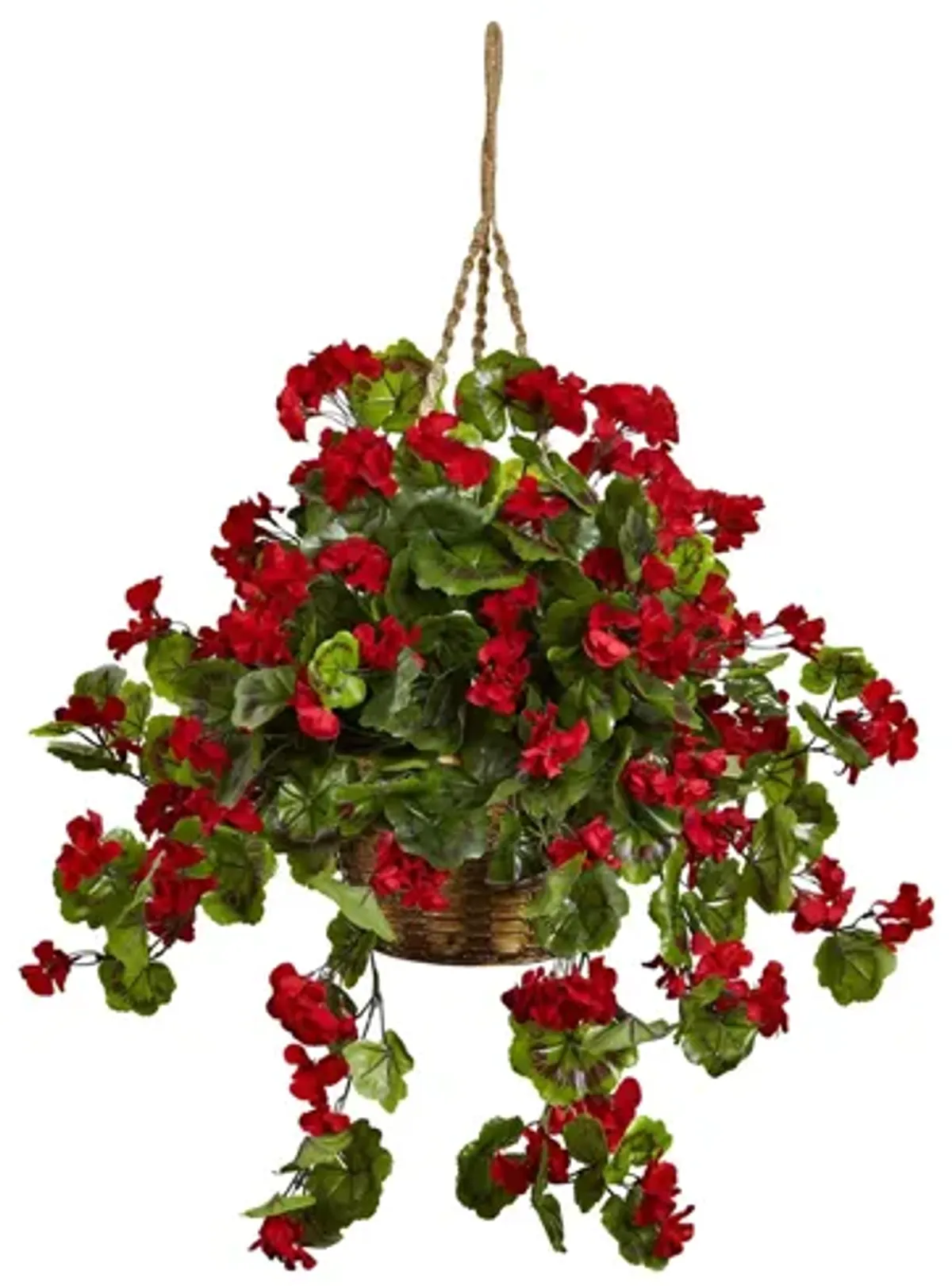 Geranium Hanging Basket (Indoor/Outdoor)