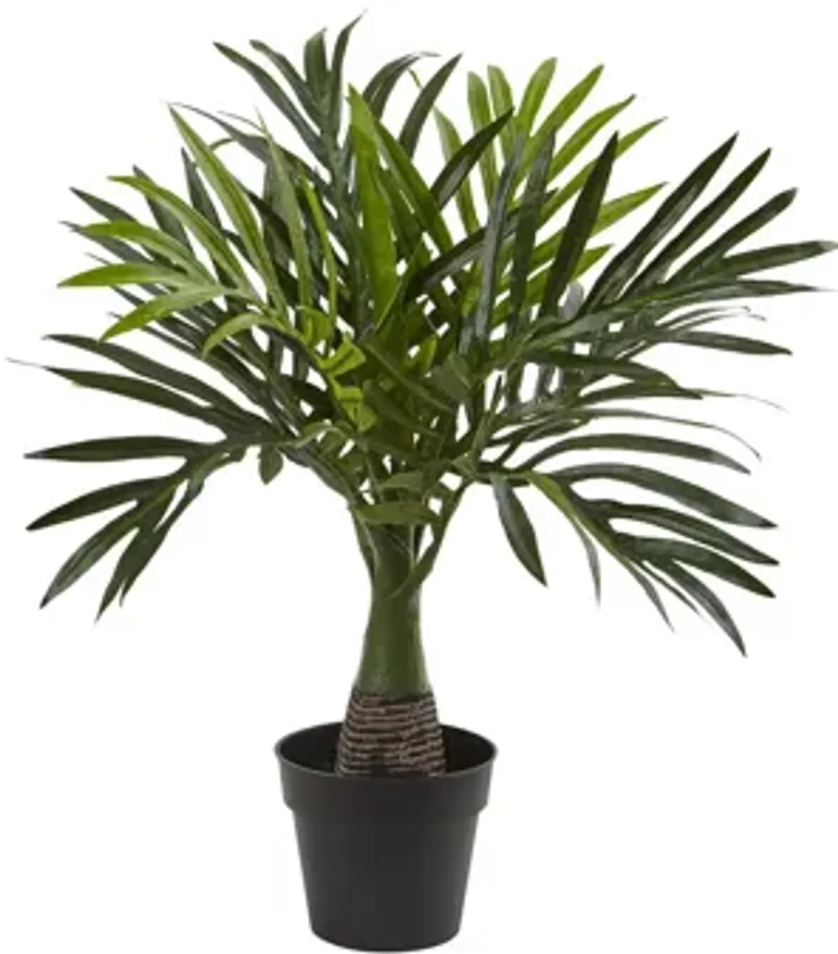 Areca, Fountain & Banana Palm (Set of 3)