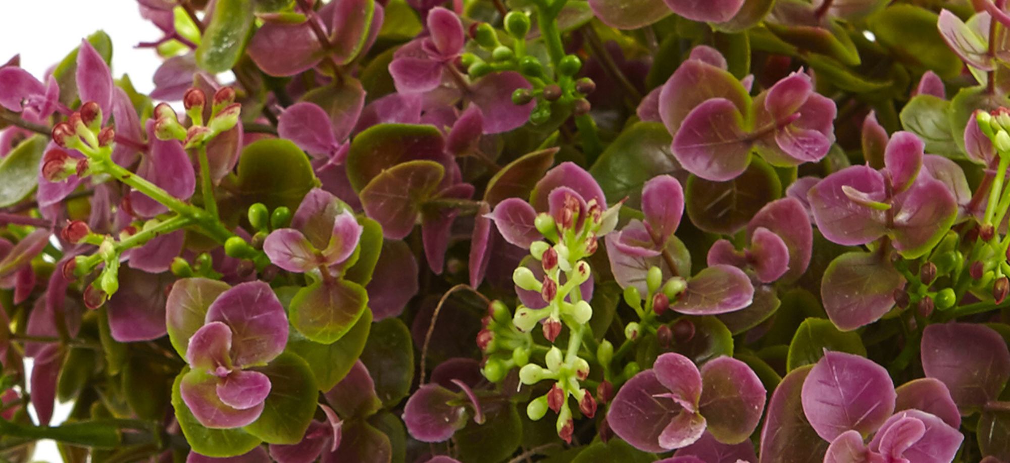 13in. Sedum and Eucalyptus Artificial Plant with Planter in Purple by Bellanest