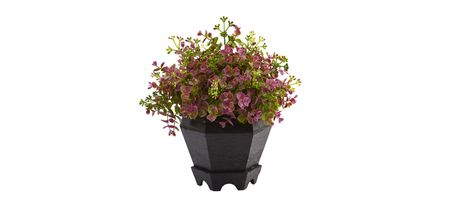 13in. Sedum and Eucalyptus Artificial Plant with Planter in Purple by Bellanest