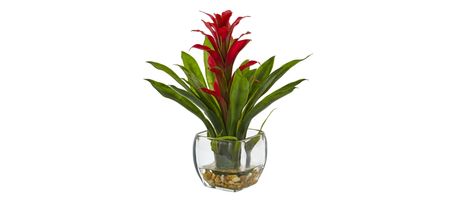 Bromeliad with Glass Vase Arrangement in Red by Bellanest