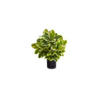 Artificial Rubber Plant in Cylinder in Green by Bellanest