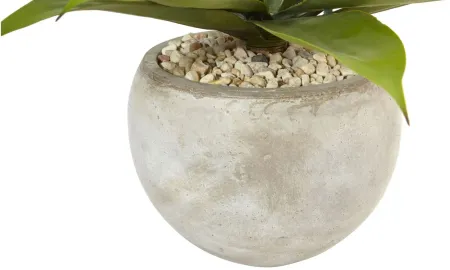 24in. Agave Artificial Plant in Sand Colored Bowl in Green by Bellanest