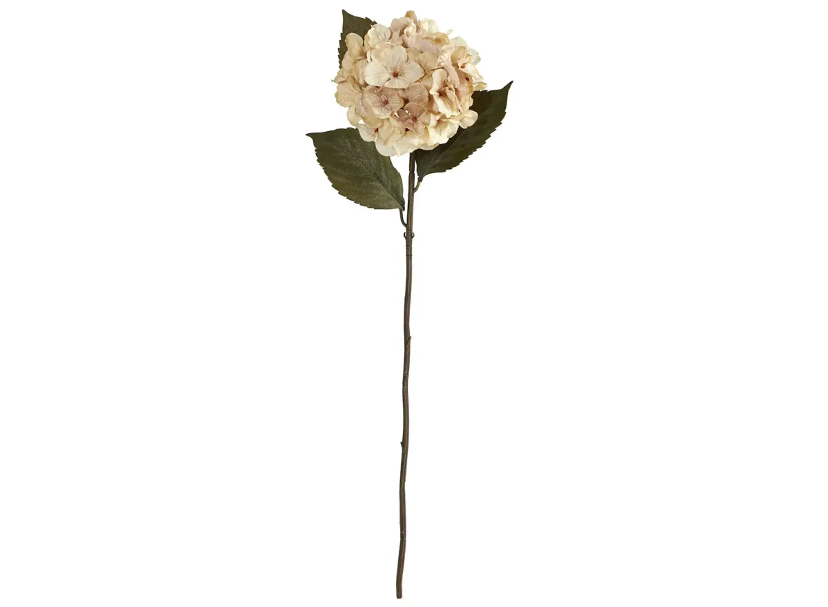 32in. Hydrangea Artificial Flower (Set of 6) in Cream by Bellanest