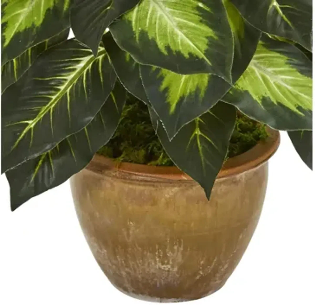 Dieffenbachia Artificial Plant in Ceramic Planter