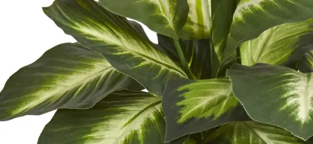 Dieffenbachia Artificial Plant in Ceramic Planter in Green by Bellanest