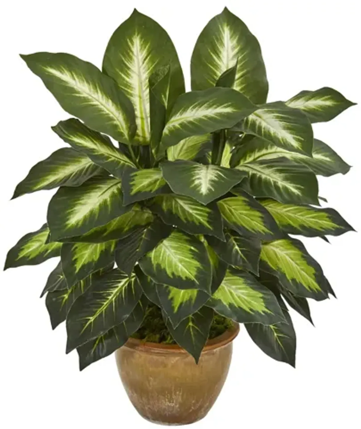 Dieffenbachia Artificial Plant in Ceramic Planter