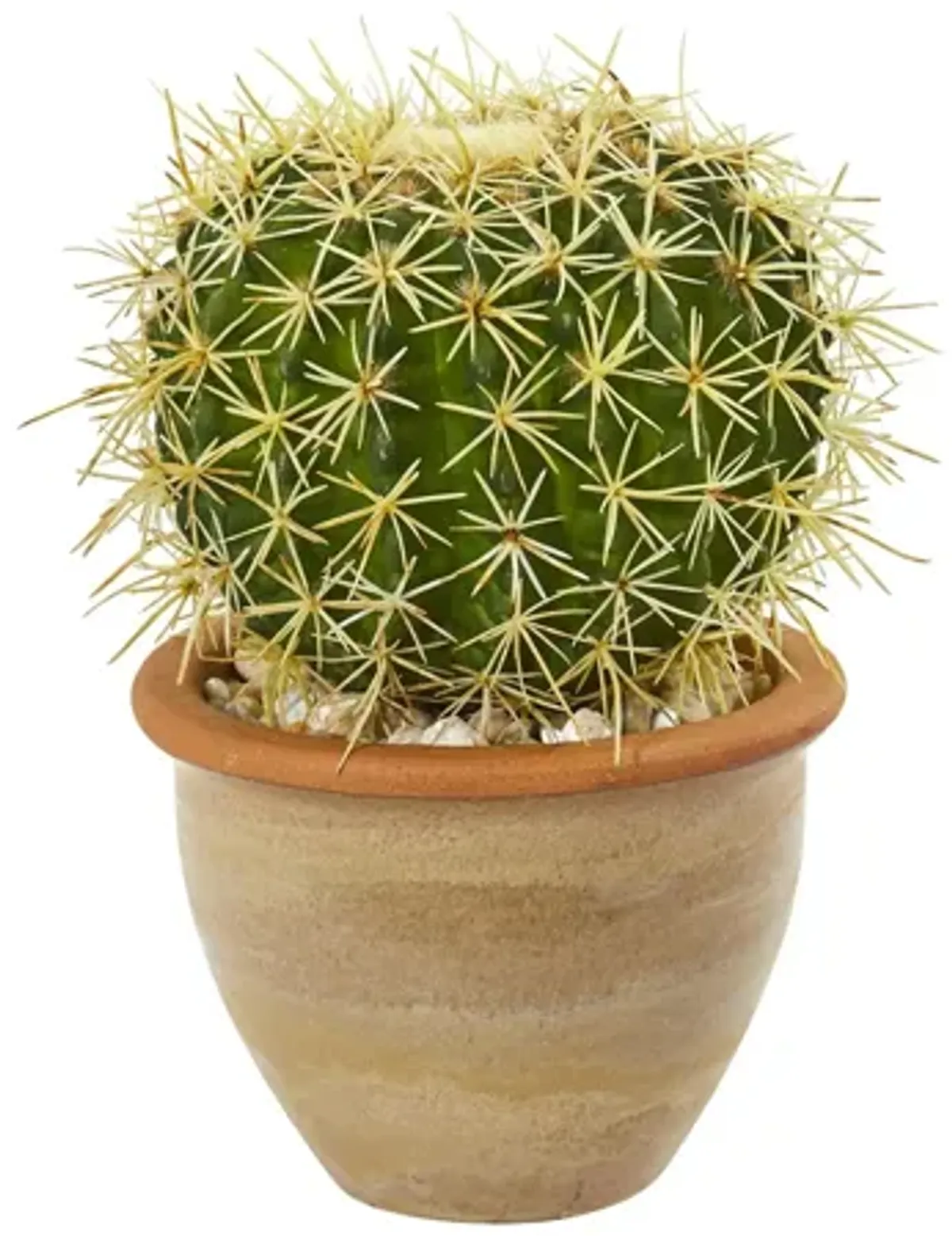 10in. Cactus Artificial Plant in Decorative Ceramic Planter in Green by Bellanest