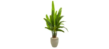64in. Travelers Palm Artificial Tree in Sand Colored Planter in Green by Bellanest