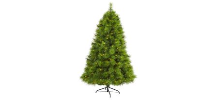 6.5ft. Pre-Lit Green Scotch Pine Artificial Christmas Tree in Green by Bellanest