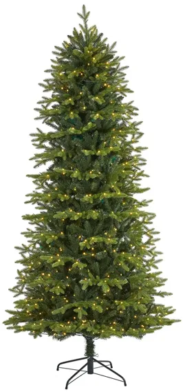 7.5ft. Pre-Lit Belgium Fir "Natural Look" Artificial Christmas Tree in Green by Bellanest