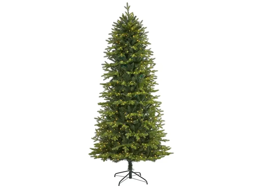 7.5ft. Pre-Lit Belgium Fir "Natural Look" Artificial Christmas Tree in Green by Bellanest