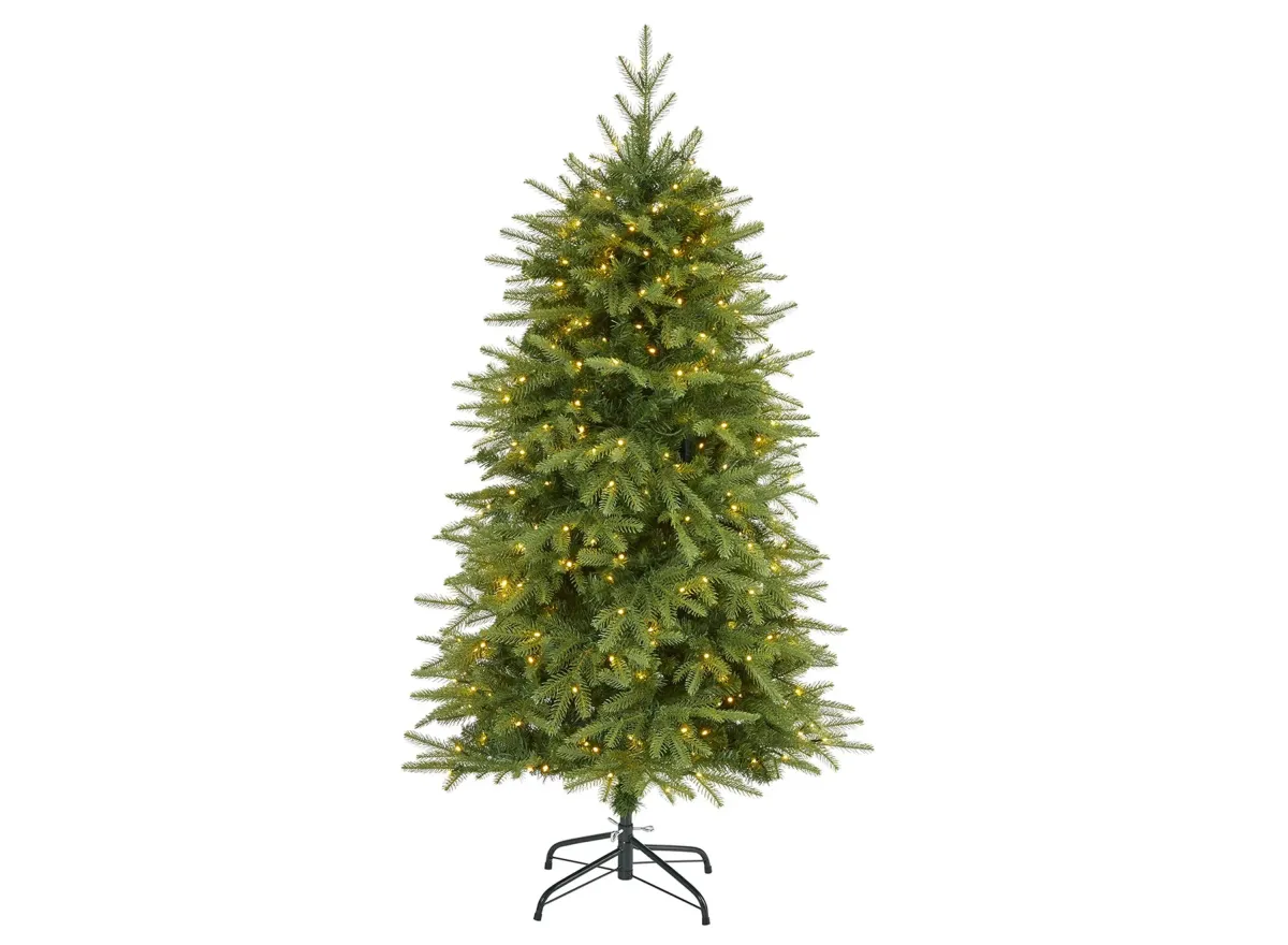 5ft. Pre-Lit Vancouver Fir "Natural Look" Artificial Christmas Tree in Green by Bellanest