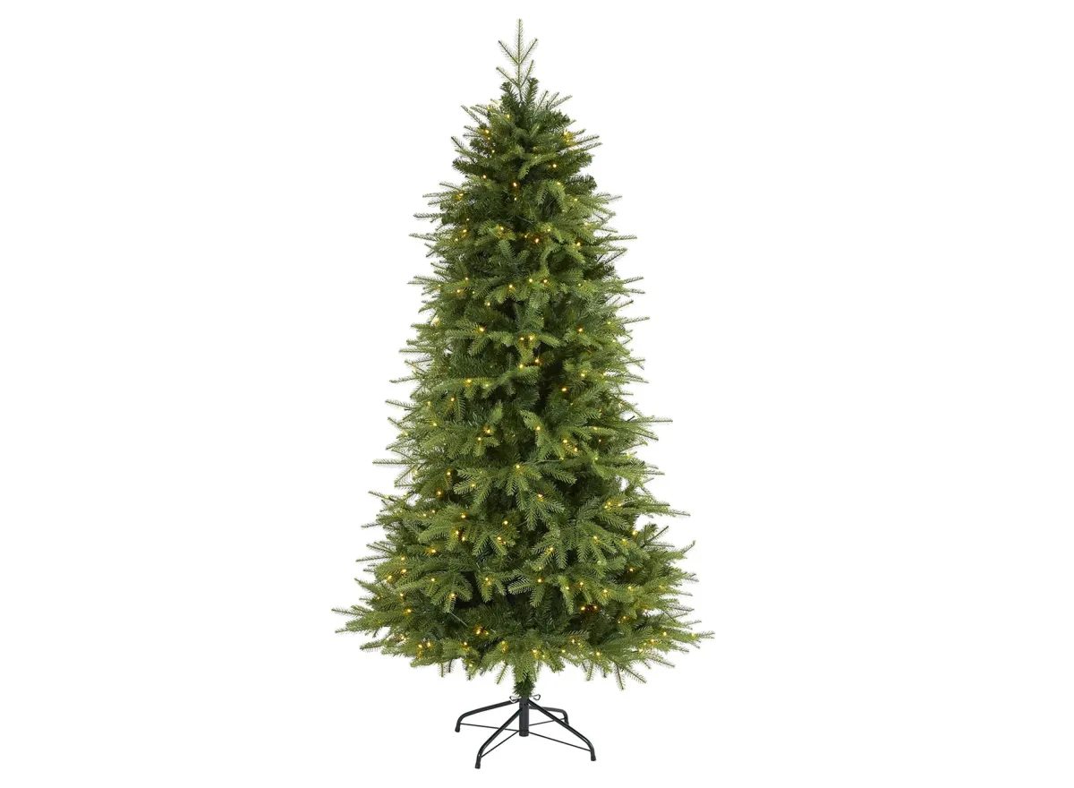 6ft. Pre-Lit Vancouver Fir "Natural Look" Artificial Christmas Tree in Green by Bellanest