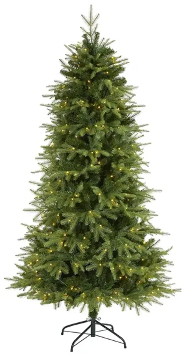 6.5ft. Pre-Lit Vancouver Fir "Natural Look" Artificial Christmas Tree