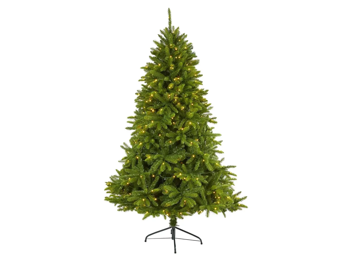 6ft. Pre-Lit Sierra Spruce "Natural Look" Artificial Christmas Tree in Green by Bellanest