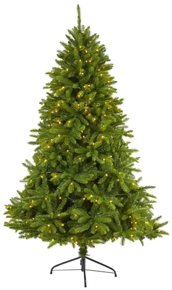 6ft. Pre-Lit Sierra Spruce "Natural Look" Artificial Christmas Tree