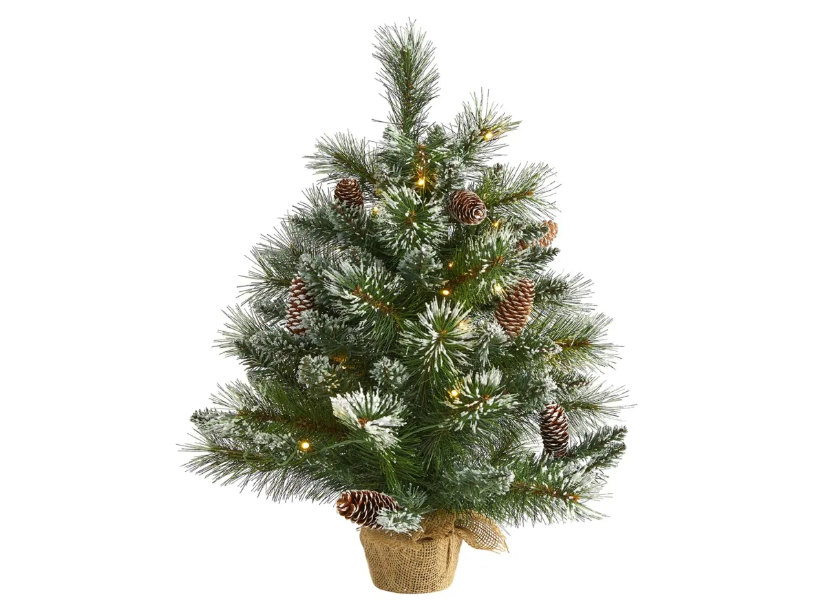 2ft. Pre-Lit Frosted Pine Artificial Christmas Tree in Green by Bellanest