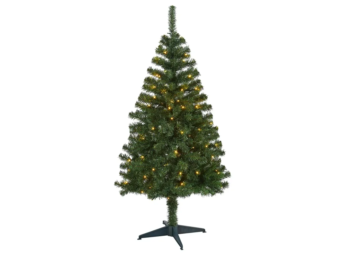 4ft. Pre-Lit Northern Tip Pine Artificial Christmas Tree in Green by Bellanest