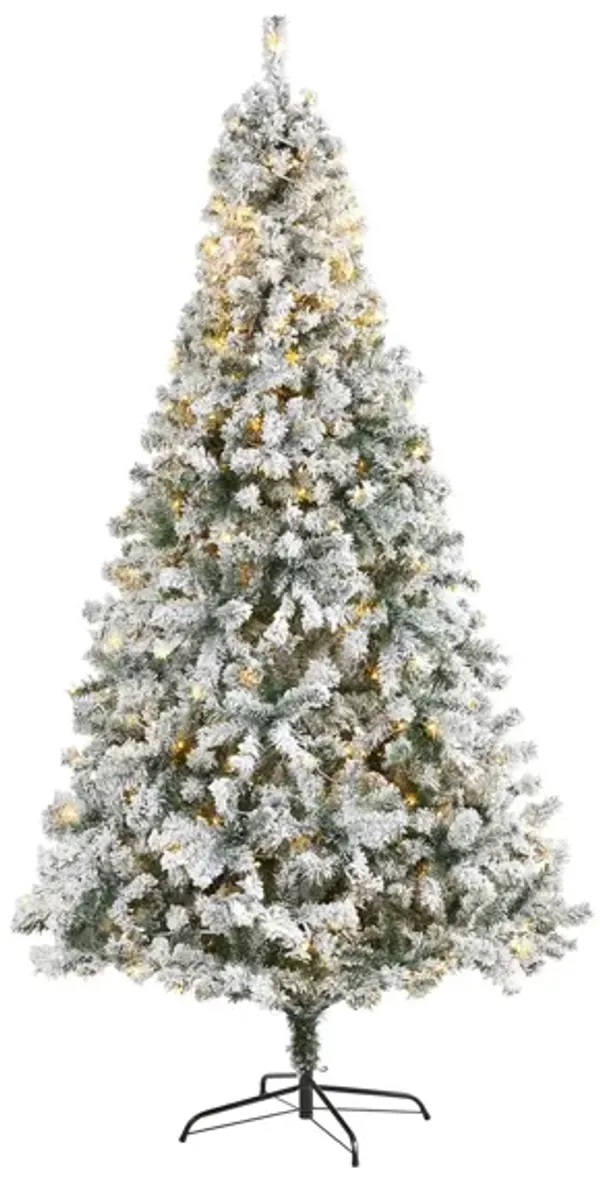 8ft. Pre-Lit Flocked Rock Springs Spruce Artificial Christmas Tree