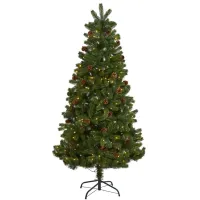 6ft. Pre-Lit Rocky Mountain Spruce Artificial Christmas Tree in Green by Bellanest