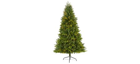 6ft. Pre-Lit Sun Valley Fir Artificial Christmas Tree in Green by Bellanest