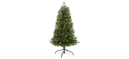 4ft. Pre-Lit Vermont Fir Artificial Christmas Tree in Green by Bellanest