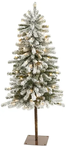 4ft. Pre-Lit Flocked Alpine Artificial Christmas Tree in Green by Bellanest