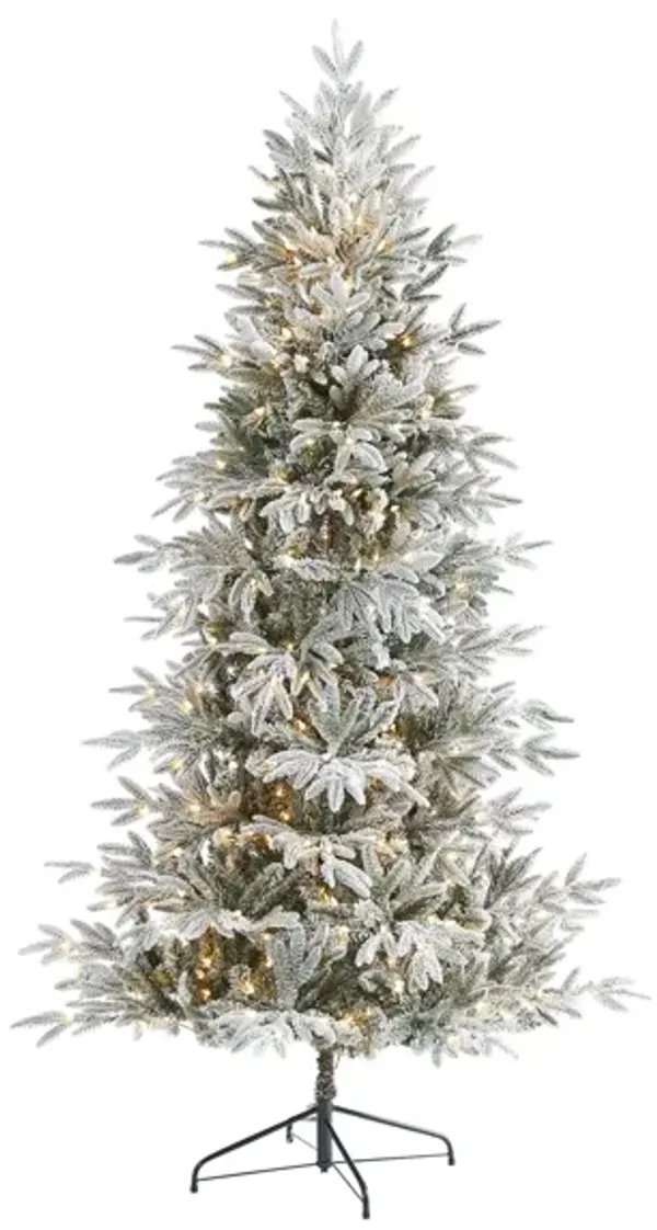 7.5ft. Pre-Lit Flocked Manchester Spruce Artificial Christmas Tree