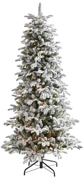 7ft. Pre-Lit Flocked North Carolina Fir Artificial Christmas Tree in Green by Bellanest