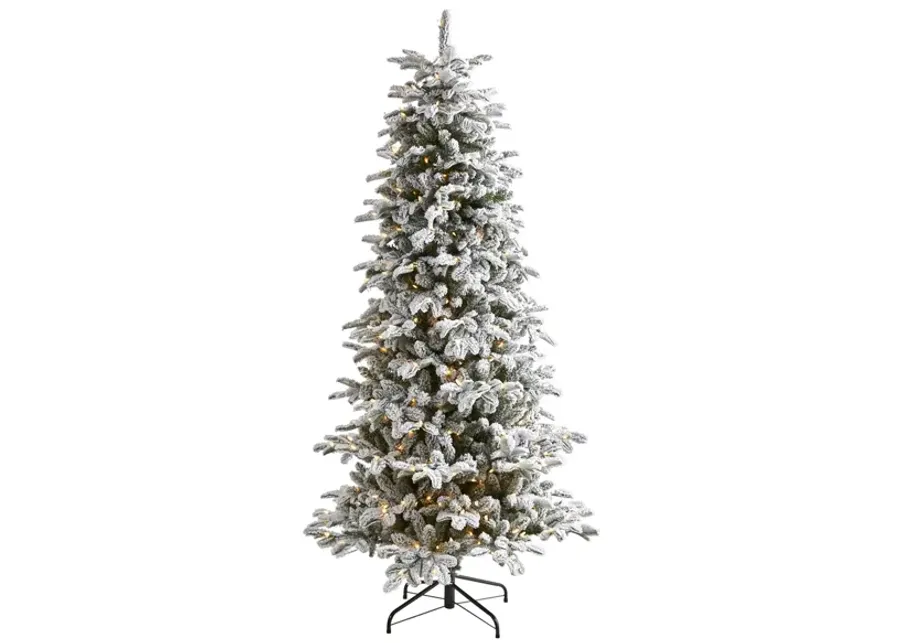 7ft. Pre-Lit Flocked North Carolina Fir Artificial Christmas Tree in Green by Bellanest