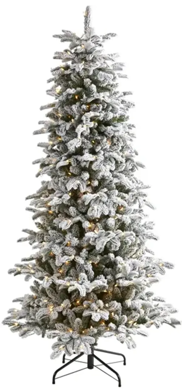 7ft. Pre-Lit Flocked North Carolina Fir Artificial Christmas Tree