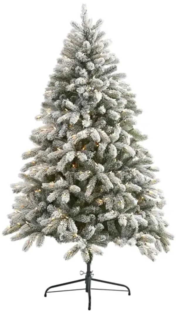 6ft. Pre-Lit Flocked South Carolina Spruce Artificial Christmas Tree