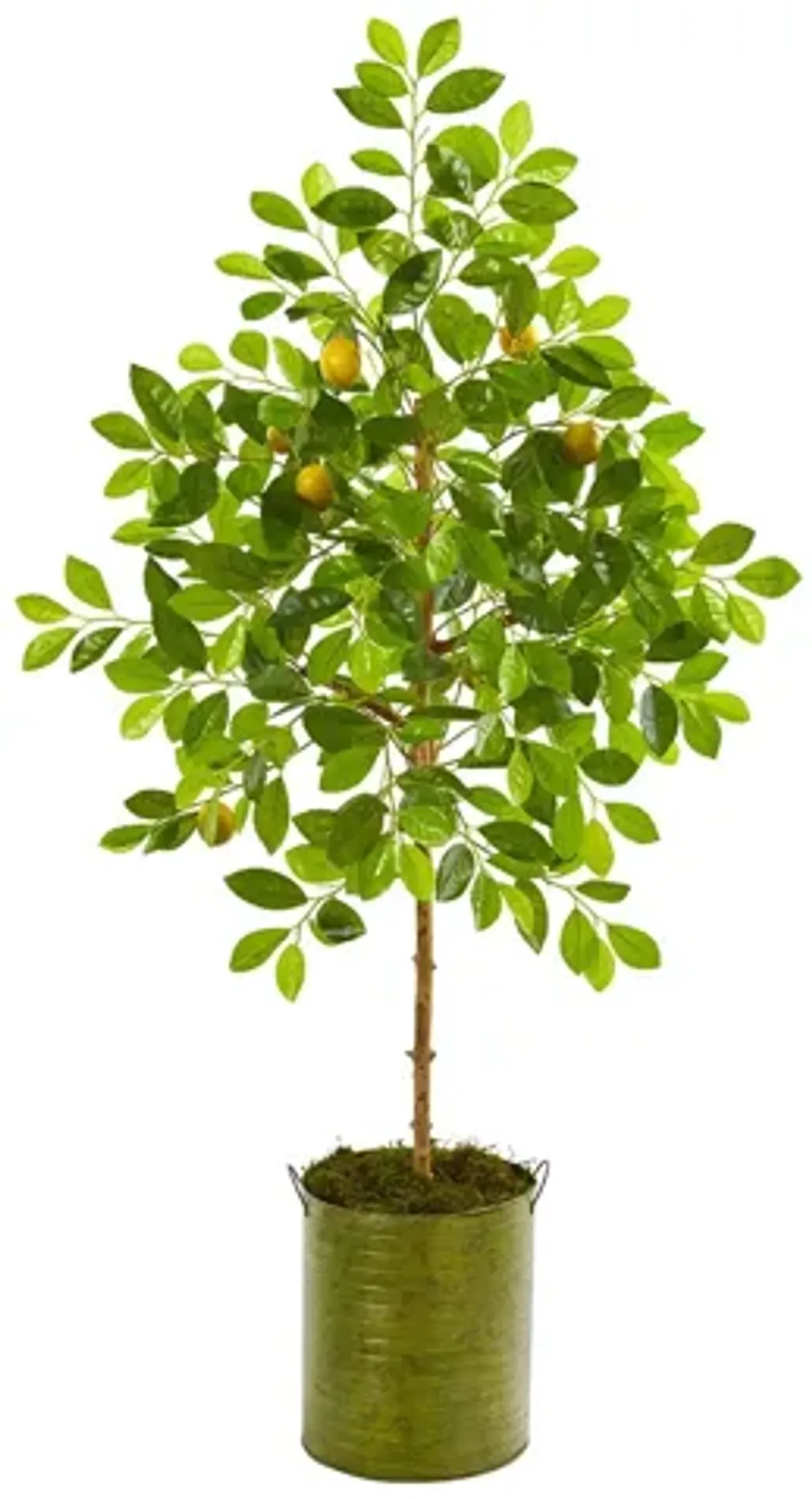 55in. Lemon Artificial Tree in Green Planter in Green by Bellanest