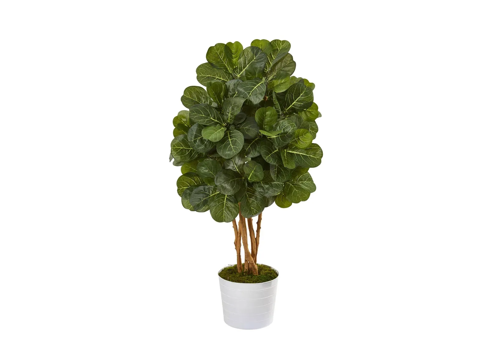 50in. Fiddle Leaf Fig Artificial Tree in White Tin Planter in Green by Bellanest